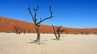 Deadvlei